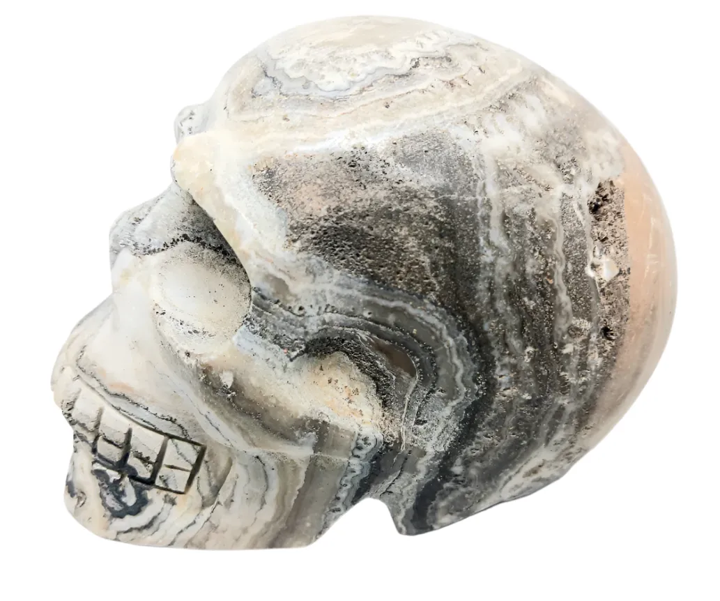 784g Dendrite Calcite Crystal Skull