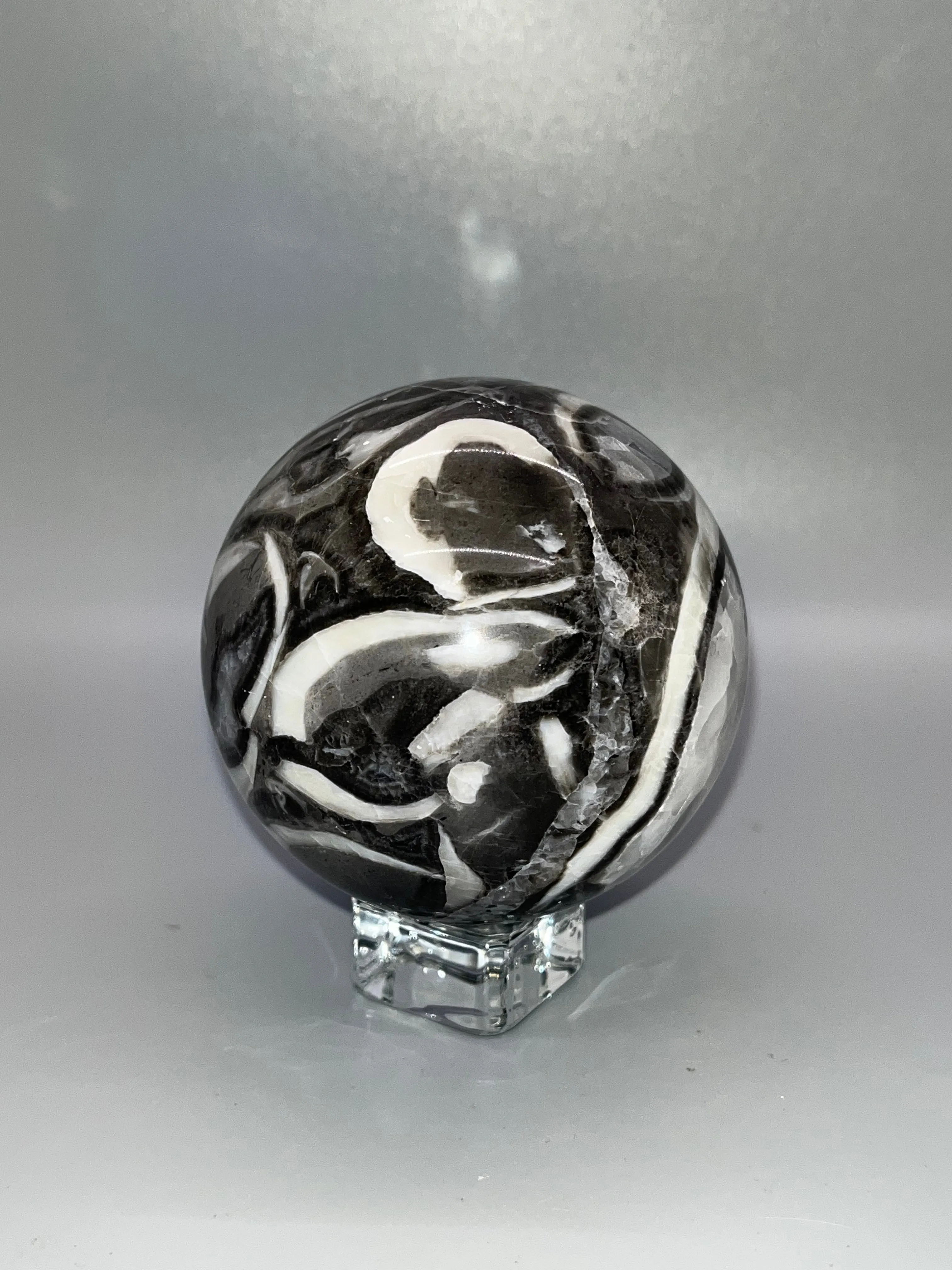 Gray Shellstone Sphere, Natural Crystal