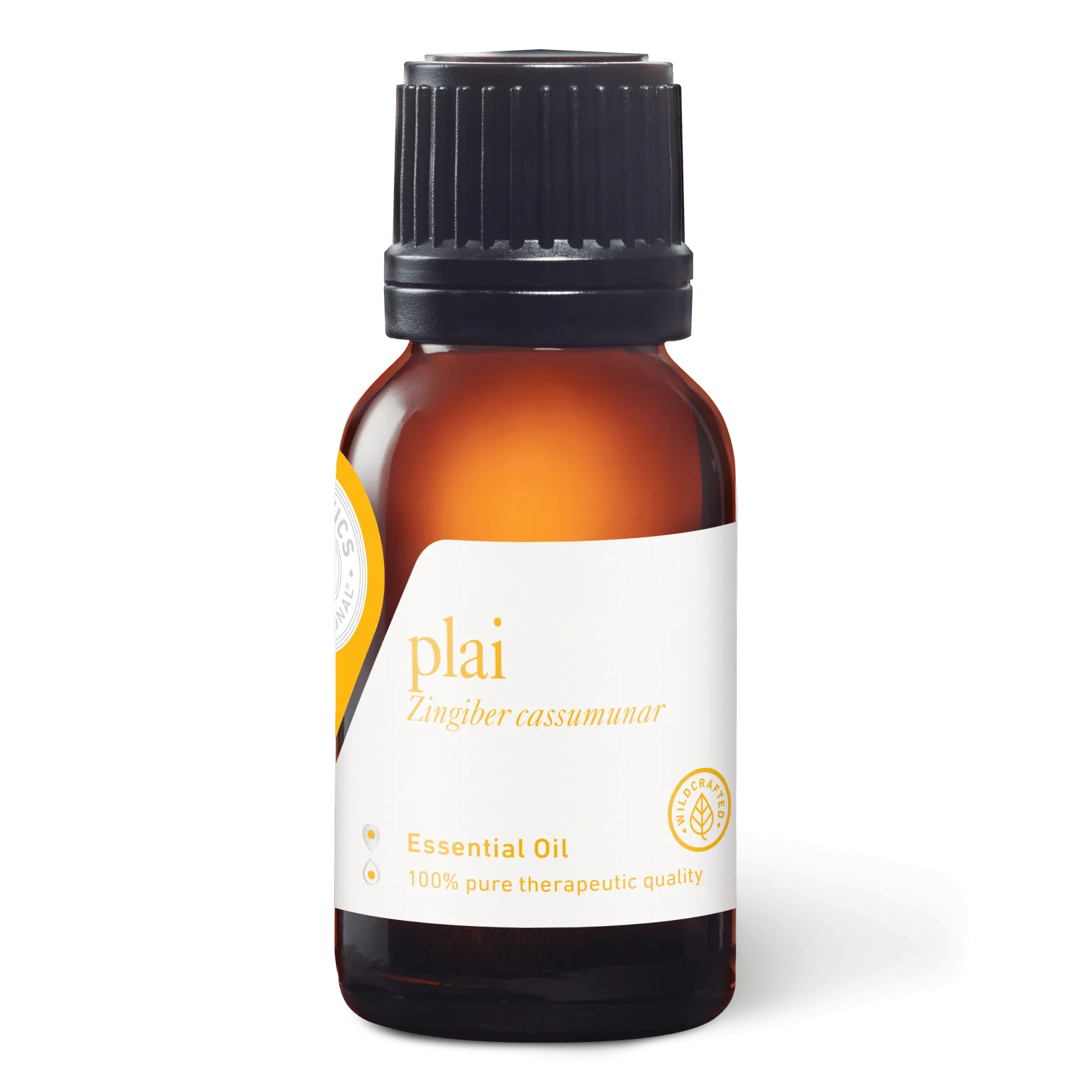 Plai (Central) Essential Oil