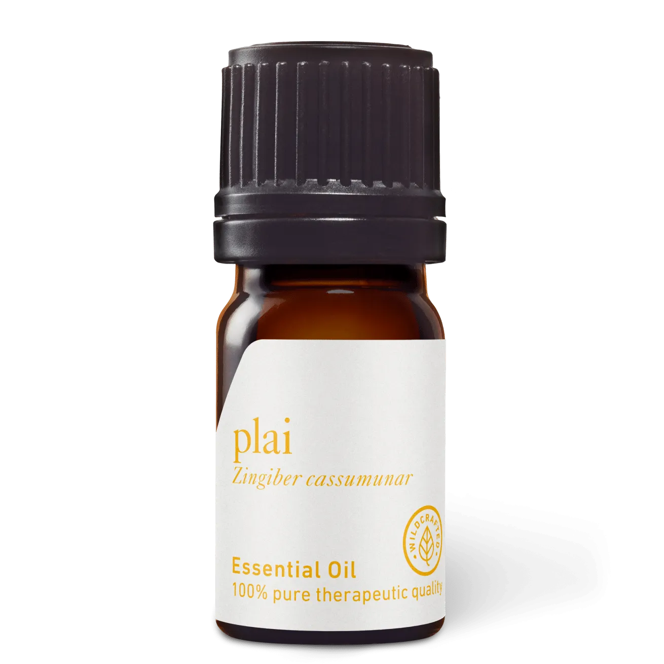 Plai (Central) Essential Oil