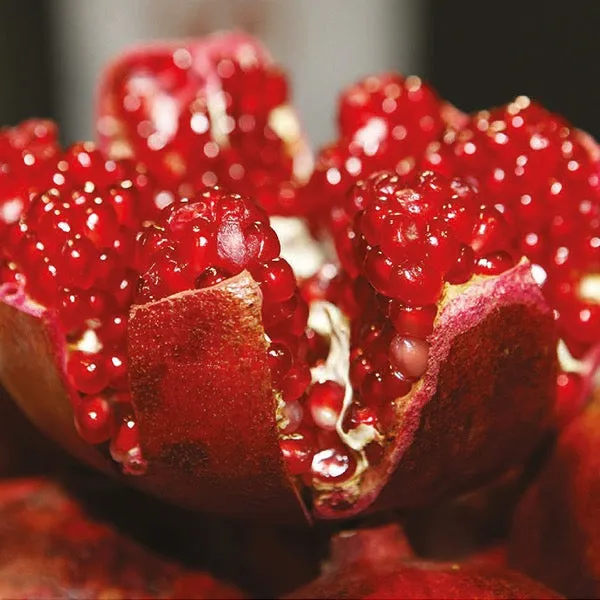 Pomegranate & Plum Votive Container