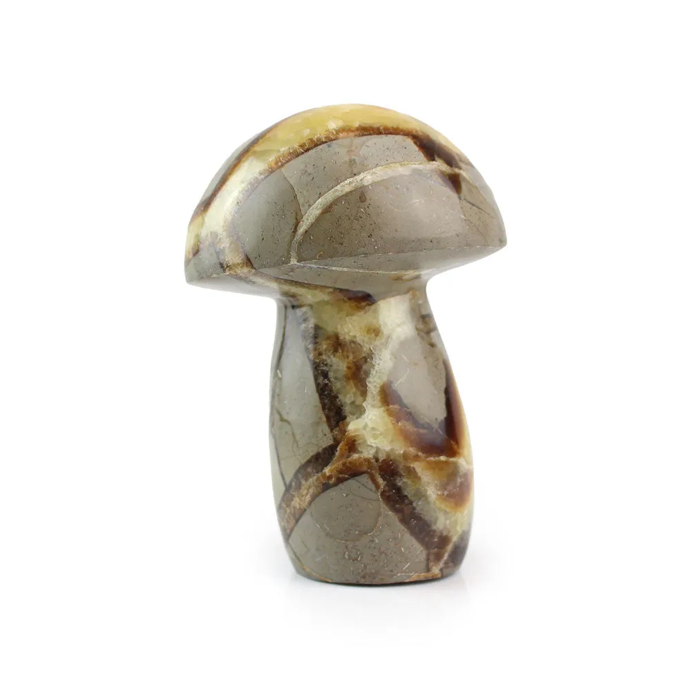 Septarian Mushroom